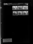 Thinning Forest display (6 Negatives), October 15-16, 1965 [Sleeve 55, Folder a, Box 38]